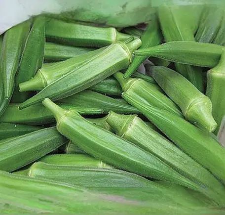 Okra (Gombo)